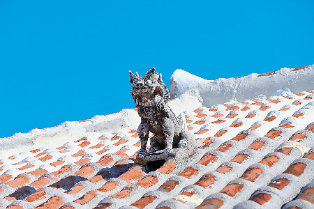 知ってた?家屋は南向き