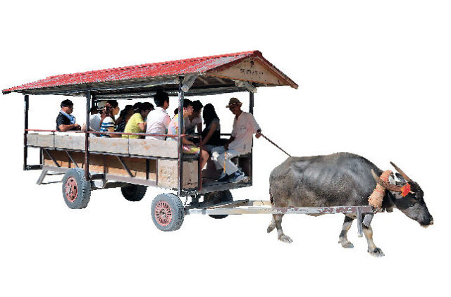 【竹富島で水牛車観光 新田観光】シミュレーション