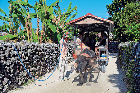 【竹富島で水牛車観光 新田観光】シミュレーション