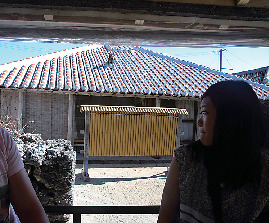 【竹富島で水牛車観光 新田観光】シミュレーション