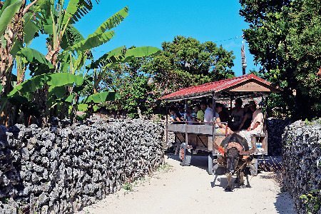 【竹富島で水牛車観光 新田観光】シミュレーション