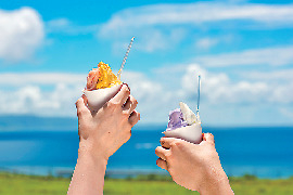 石垣島ミルミル本舗