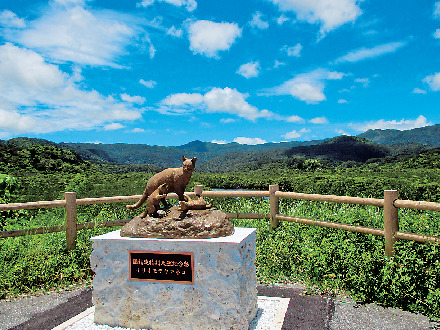 西表島の遊び方