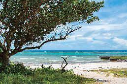 【黒島の観光スポット】仲本海岸