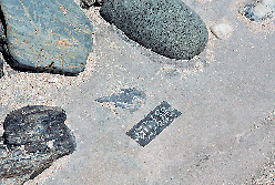 ④ 13:00 日本最南端の碑