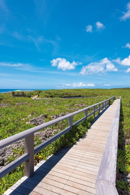 【下地島×絶景観光】通り池 ~さまざまな伝説が残る神秘の池~