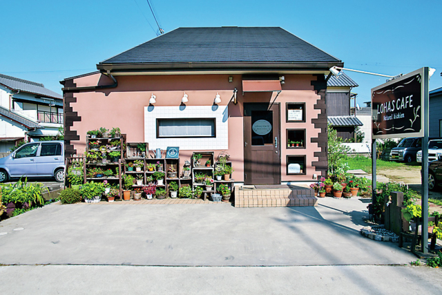 自然にも体にもやさしい食事「ロハスカフェ」