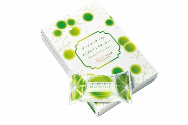 【伊良部島×絶景観光】いらぶ大橋 海の駅 ~伊良部大橋を一望!~