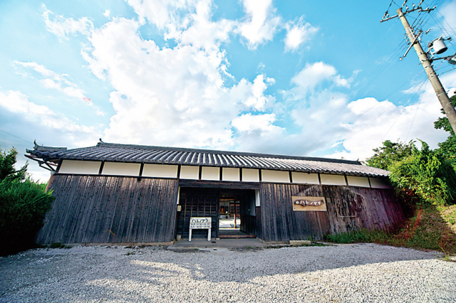 【淡路島×洋食】ハレノサラ