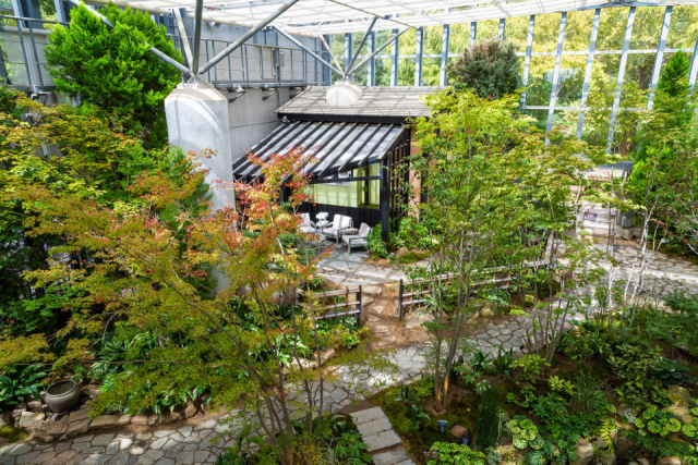 【淡路島・花の名所】兵庫県立淡路夢舞台公苑温室 あわじグリーン館 人気のポイント