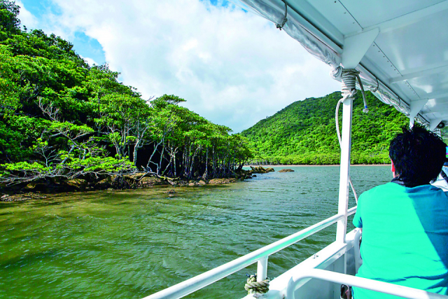 9:10〈西表島〉大原港到着