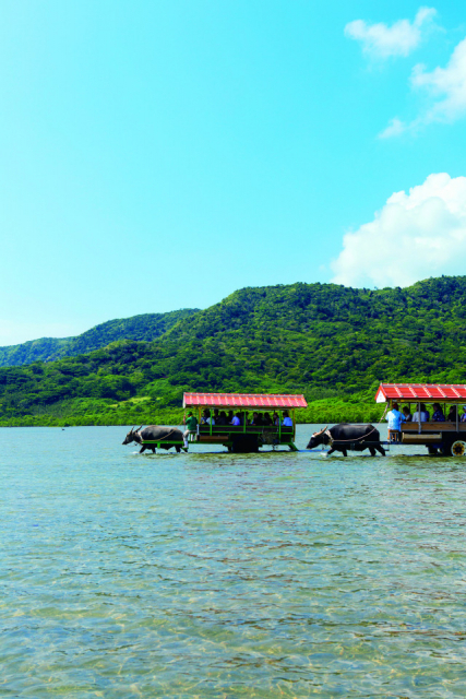 9:10〈西表島〉大原港到着