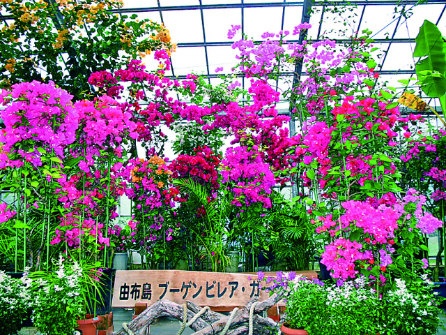 9:10〈西表島〉大原港到着