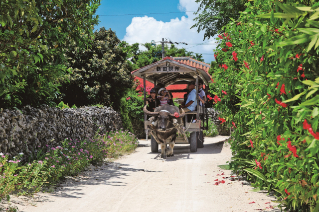 【石垣島&竹富島×観光】2日目