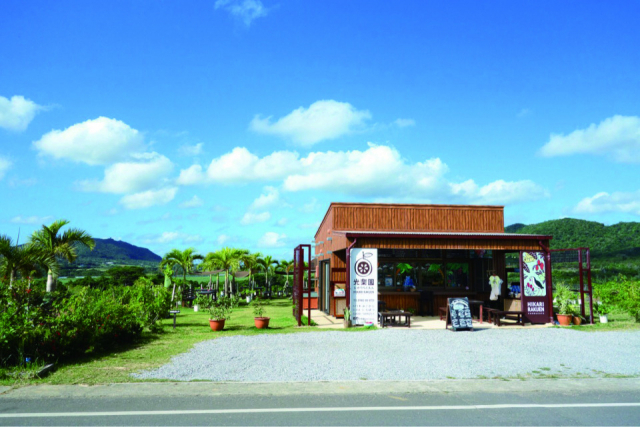 【石垣島×フルーツスイーツ】メニュー豊富なフルーツパーラー「FARM&CAFE 光楽園」
