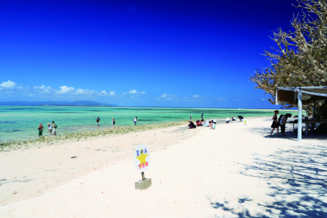 【竹富島観光スポット】カイジ浜(星砂の浜)