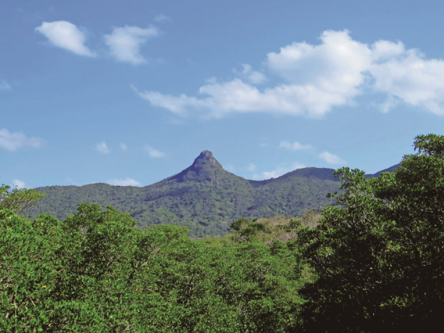 野底岳【北部】
