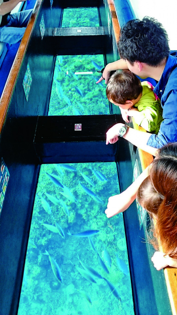 南西観光 グラスボート 竹富島海底遊覧