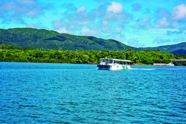 【仲間川×マングローブ遊覧】遊覧DATA 仲間川マングローブクルーズ