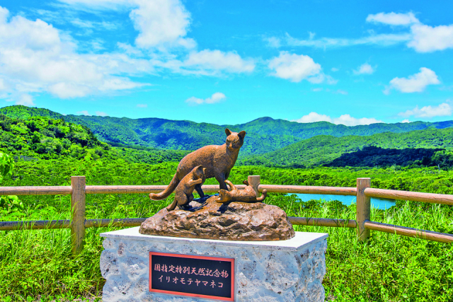 後良橋ロードパーク