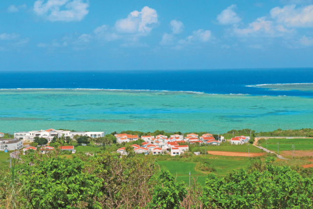 【小浜島観光】プチ登山で絶景の大岳へ