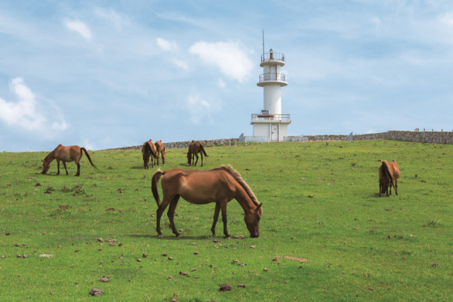 【与那国島観光モデルプラン】④ 14:00 東崎