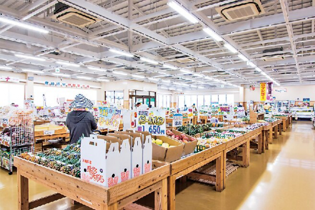 新鮮な野菜やフルーツがずらり「ファーマーズマーケット宮古あたらす市場」