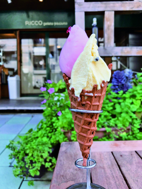 RICCO gelato