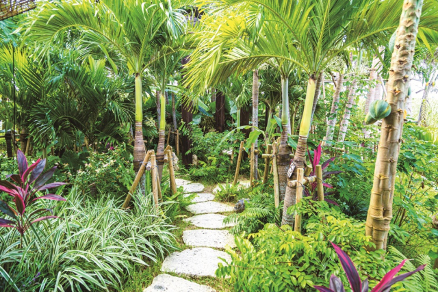 自社農園で収穫したフレッシュなマンゴーを「Blue Turtle Farm Mango cafe」