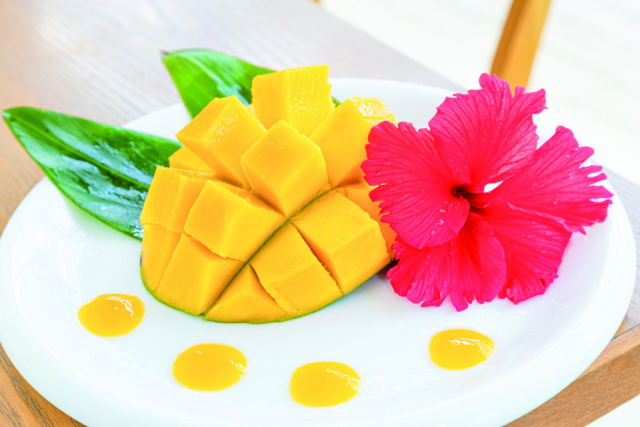 自社農園で収穫したフレッシュなマンゴーを「Blue Turtle Farm Mango cafe」