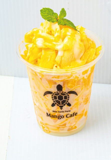自社農園で収穫したフレッシュなマンゴーを「Blue Turtle Farm Mango cafe」