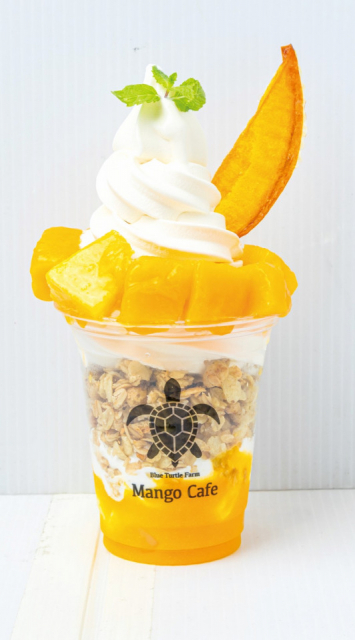 自社農園で収穫したフレッシュなマンゴーを「Blue Turtle Farm Mango cafe」