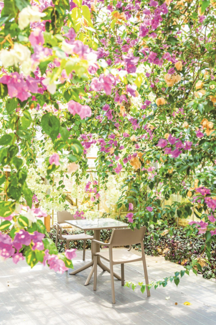 糖度の高い宮古島産マンゴーのデザートがお目当て「観光農園ユートピア ファーム宮古島」