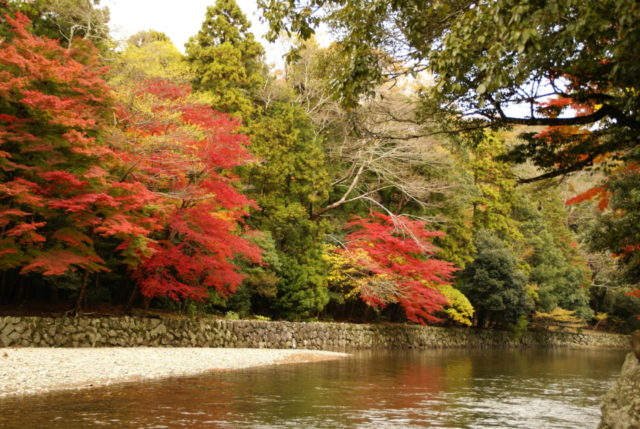 五十鈴川ほとりの御手洗場