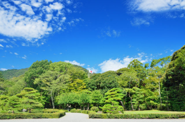 芝生と松が美しい神苑