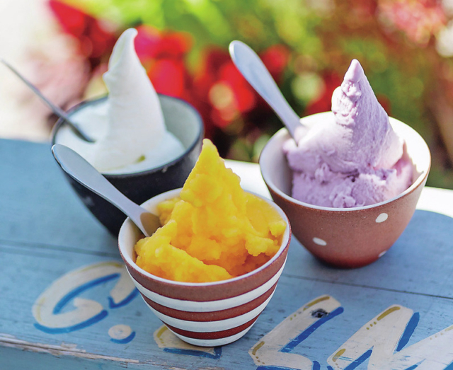 【淡路島スイーツ】とれたての味をアイスとジェラートで「G.エルム」