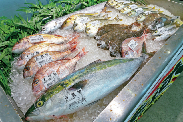 御食国の特産がまるごと並ぶ「美菜恋来屋」