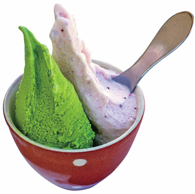 【淡路島スイーツ】とれたての味をアイスとジェラートで「G.エルム」