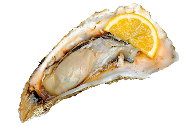 炉端焼きで際立つ磯の香り「近江町旬彩焼」