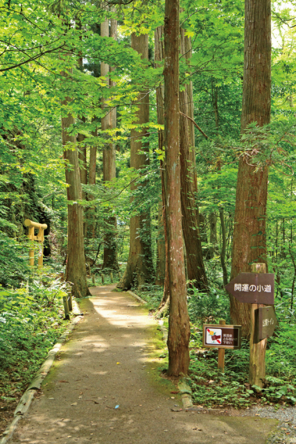 湖畔にたたずむパワースポット 十和田神社