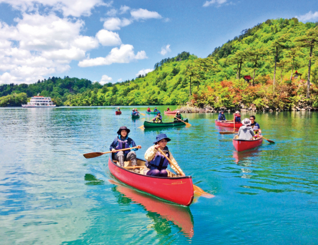 ブナの森に抱かれた 湖上を進む 十和田湖ガイドハウス 櫂