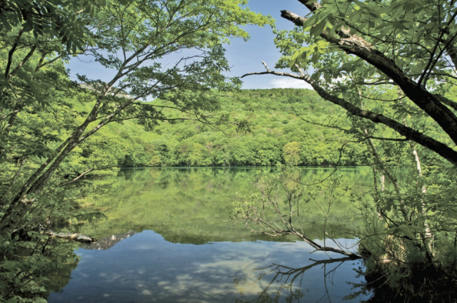 〈八甲田山麓ドライブコース〉① 蔦の七沼