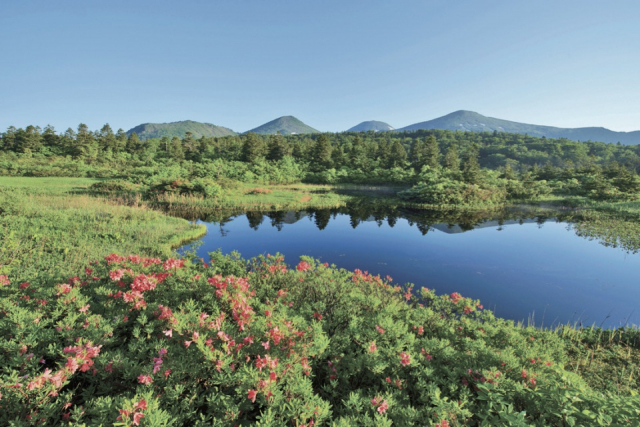 〈八甲田山麓ドライブコース〉② 睡蓮沼