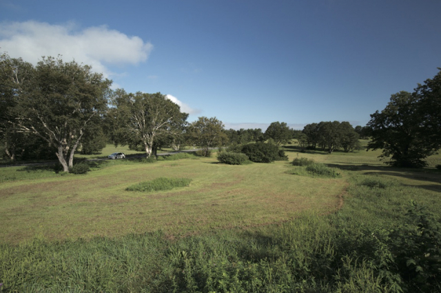 〈八甲田山麓ドライブコース〉⑥ 萱野高原
