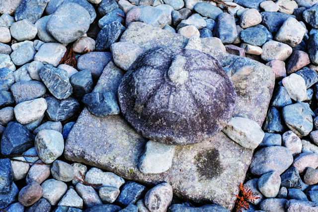 【日光東照宮×プチ名所】兜石