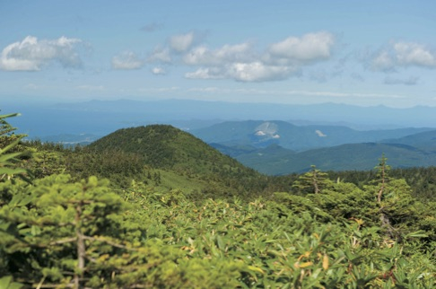 〈八甲田山麓ドライブコース〉⑤ 八甲田ゴードライン