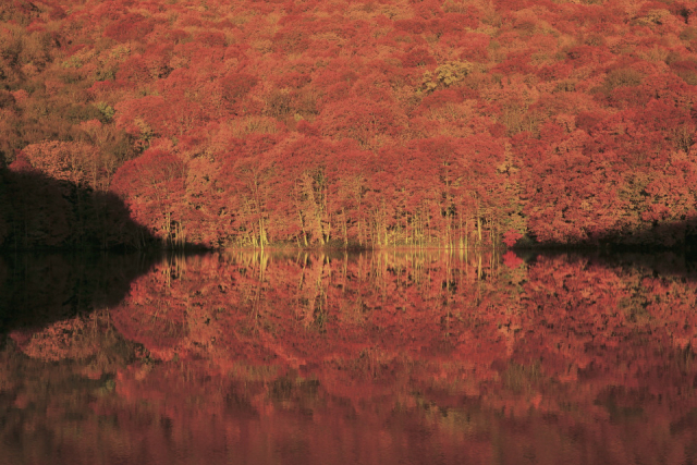 〈八甲田山麓ドライブコース〉① 蔦の七沼