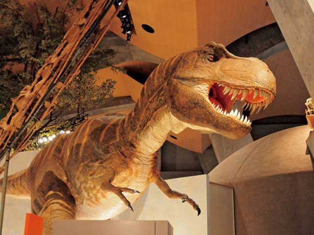 群馬県立自然史博物館