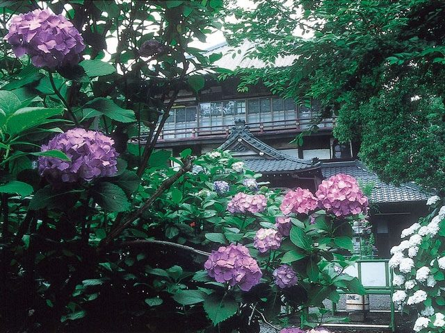 曹源寺(さざえ堂)