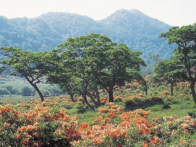 日本百名山のひとつに名を連ねる「赤城山」